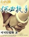 何必执手